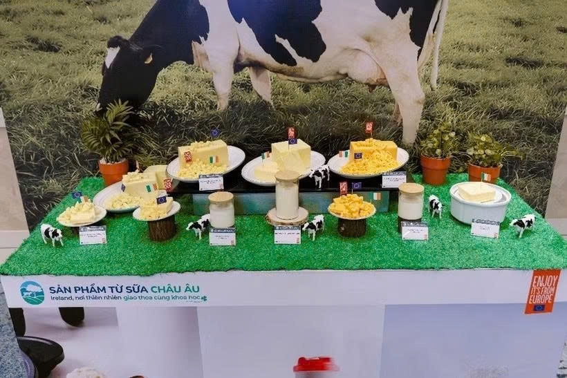 ireland steps up dairy trade promotion in vietnam picture 1