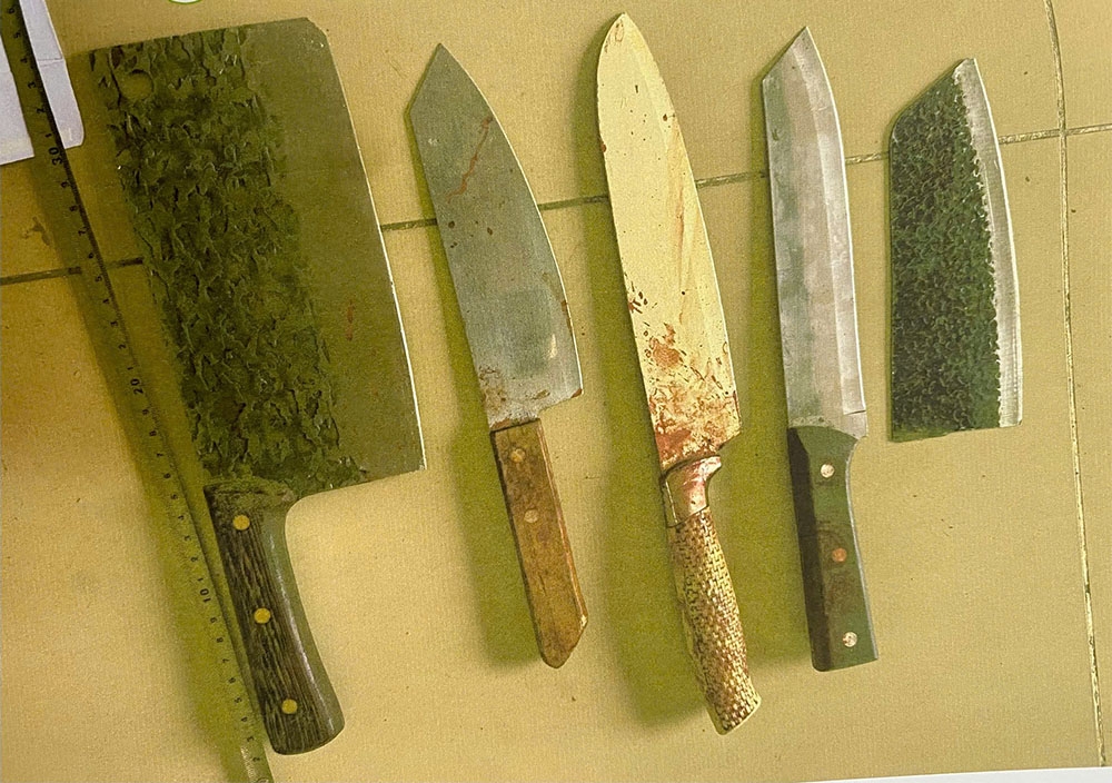 khoi to doi tuong say ruou, cam dao duoi danh nguoi dan o xa Dai Dong, bac ninh hinh anh 2
