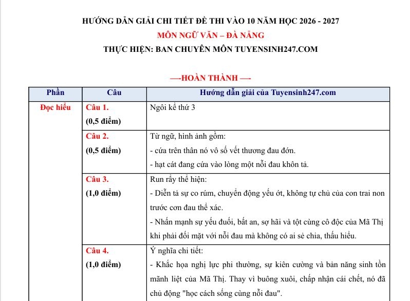 goi y dap an mon ngu van ky thi vao lop 10 thpt cong lap tai Da nang hinh anh 1
