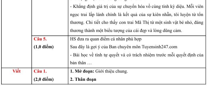 goi y dap an mon ngu van ky thi vao lop 10 thpt cong lap tai Da nang hinh anh 2