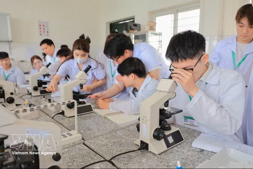 digital capacity improvement needed for comprehensive human development picture 1