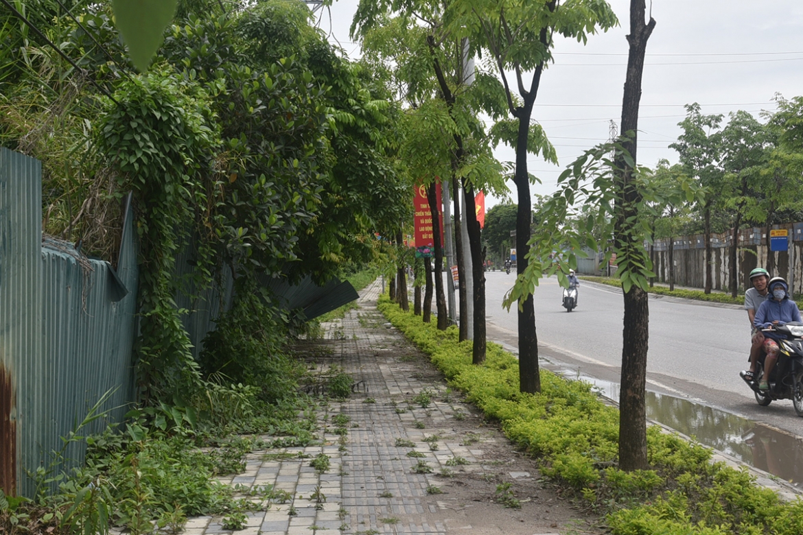 toan canh tien do khu do thi thu lam phuc vu tai dinh cu tai ha noi hinh anh 8