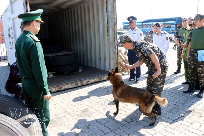 pm orders implementation of activities for 2026 anti-drug action month picture 1