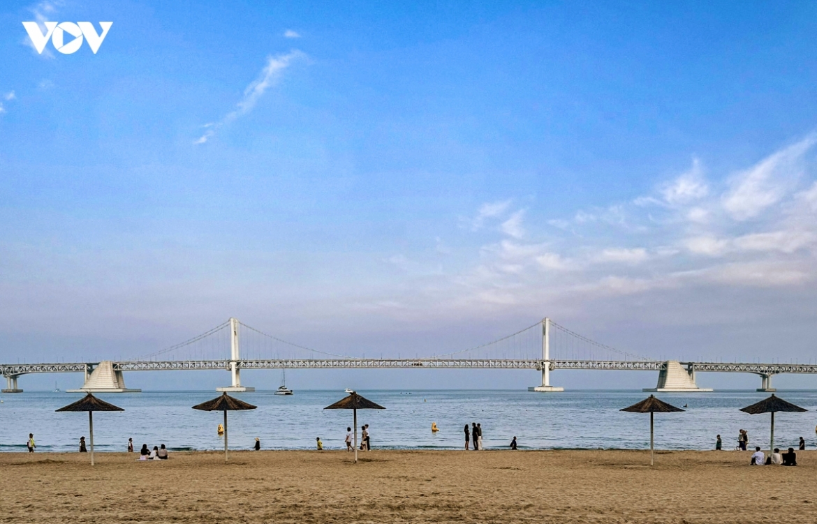 du lich han quoc 2026 vi sao hang nghin nguoi se den busan vao thang 6 hinh anh 2