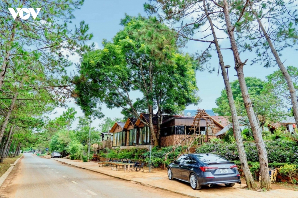 du lich he 2026 ly son, mang Den la diem den moi noi thu hut du khach viet hinh anh 2