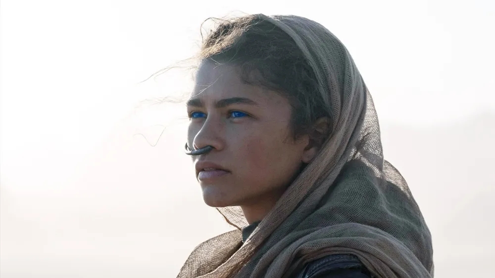 zendaya co gai ma hollywood khong the doan truoc hinh anh 7