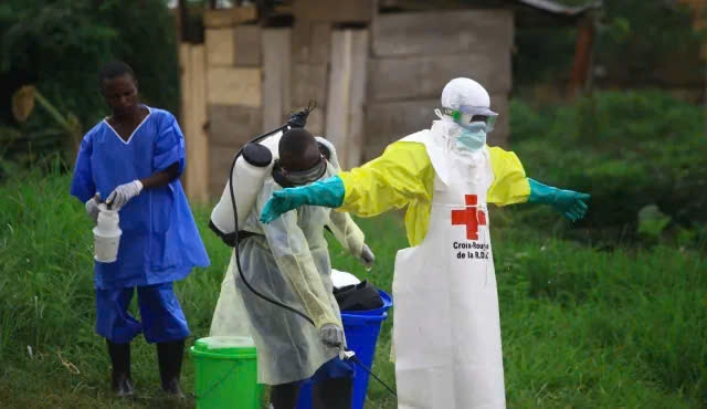 nguy co ebola lay lan xuyen bien gioi tai chau phi hinh anh 1