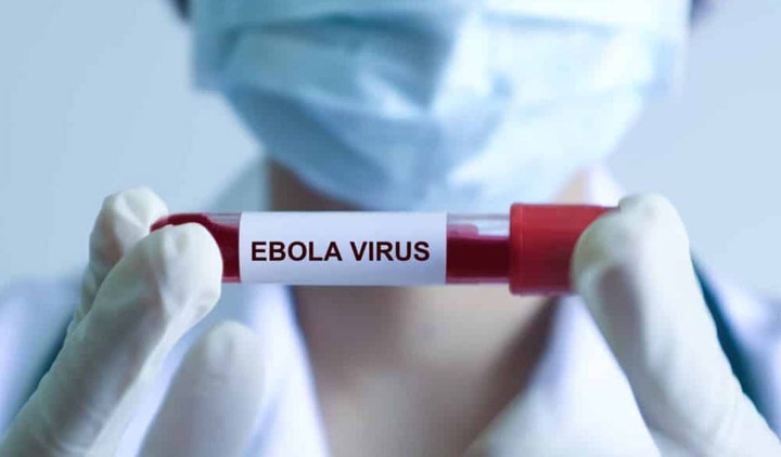 benh ebola tu vong den 90 , bo y te ra chi dao khan, yeu cau cach ly nghiem ngat hinh anh 1