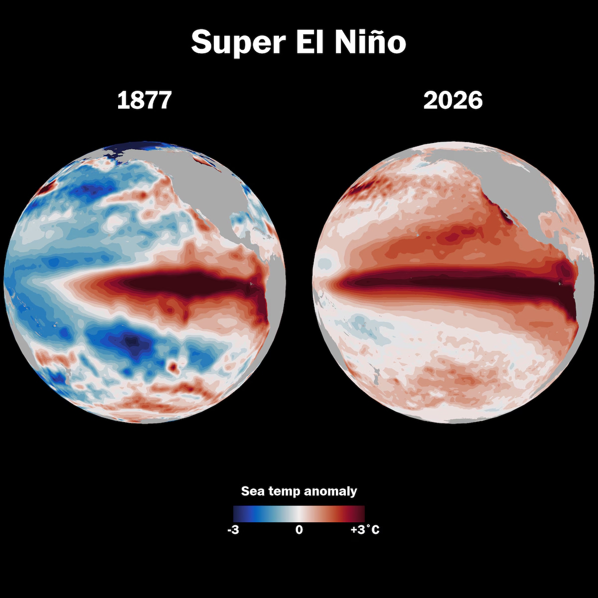 sieu el nino 1877 khoi nguon cua tham hoa khien hon 50 trieu nguoi thiet mang hinh anh 1