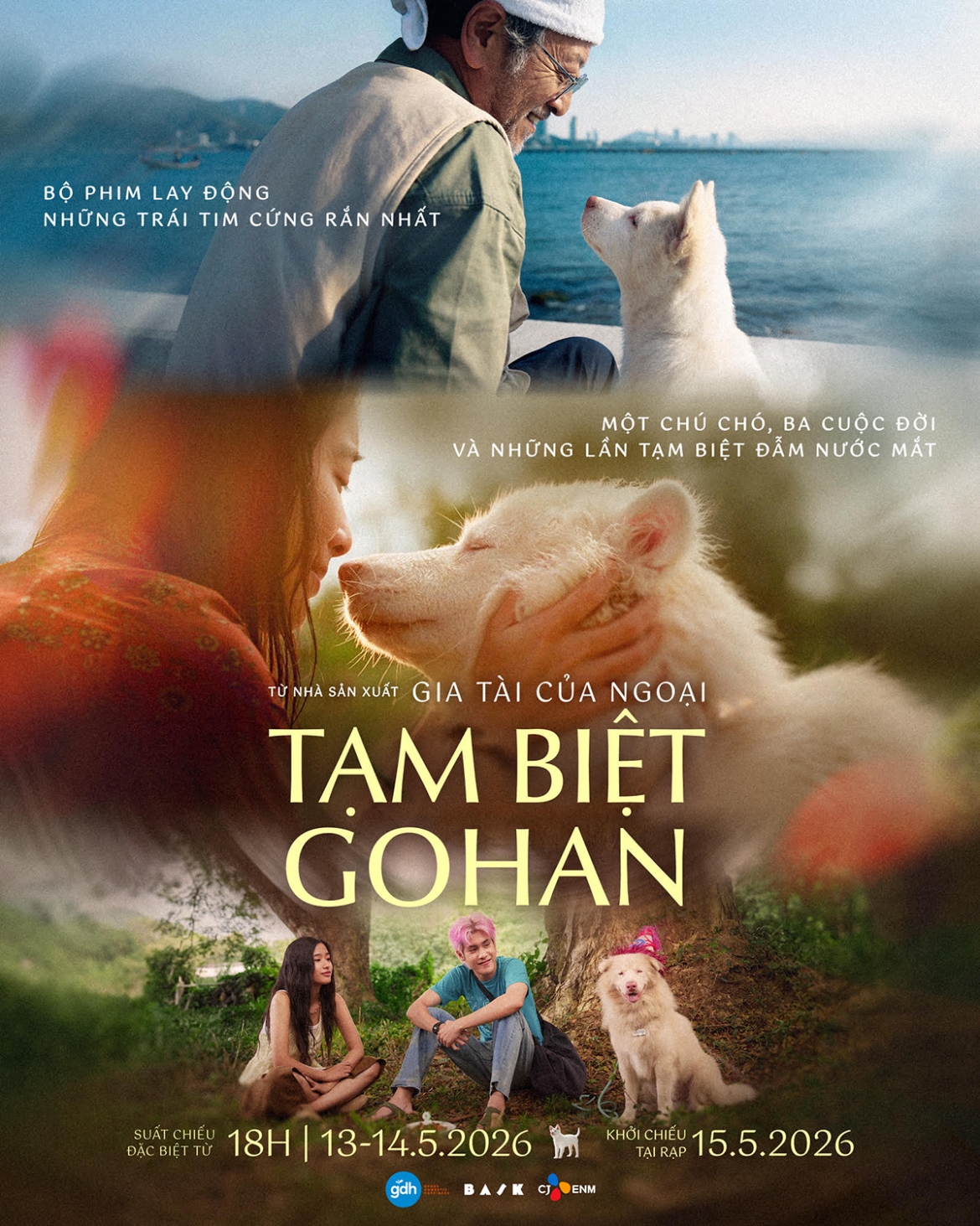tam biet gohan, hanh trinh 10 nam cua mot chu cho hoang chiem top 1 phong ve viet hinh anh 8