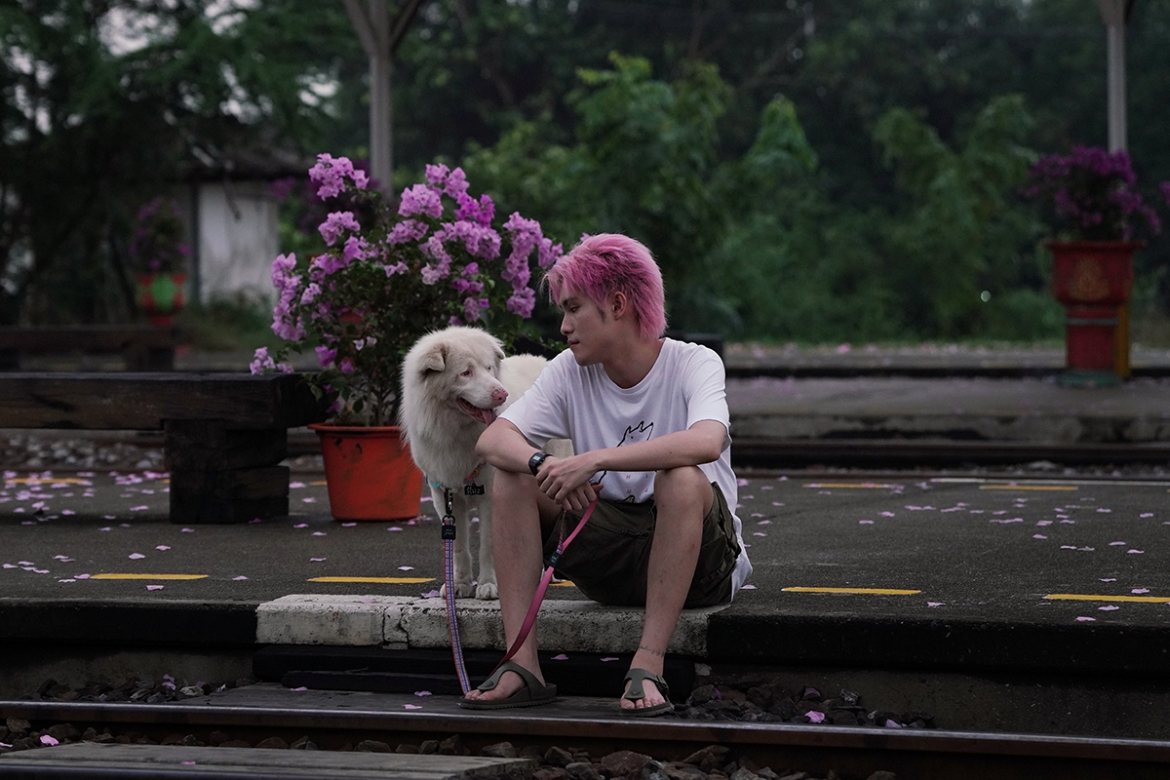 tam biet gohan, hanh trinh 10 nam cua mot chu cho hoang chiem top 1 phong ve viet hinh anh 7