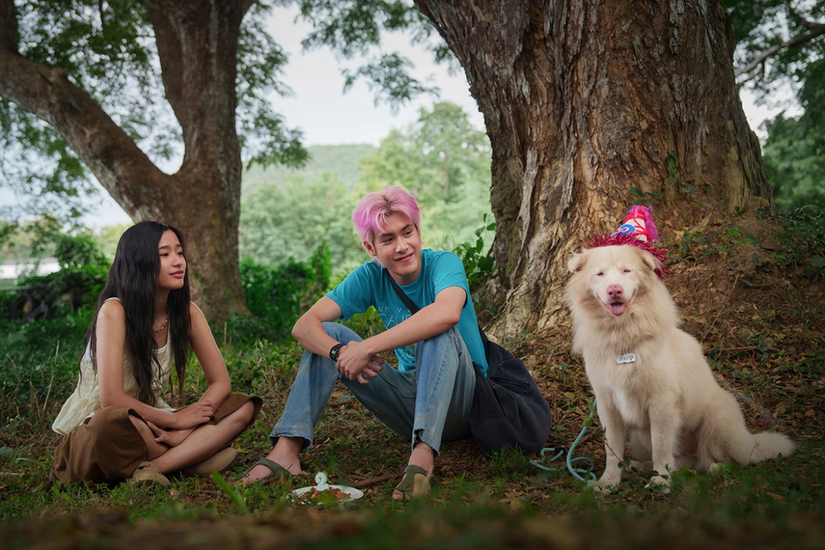 tam biet gohan, hanh trinh 10 nam cua mot chu cho hoang chiem top 1 phong ve viet hinh anh 6
