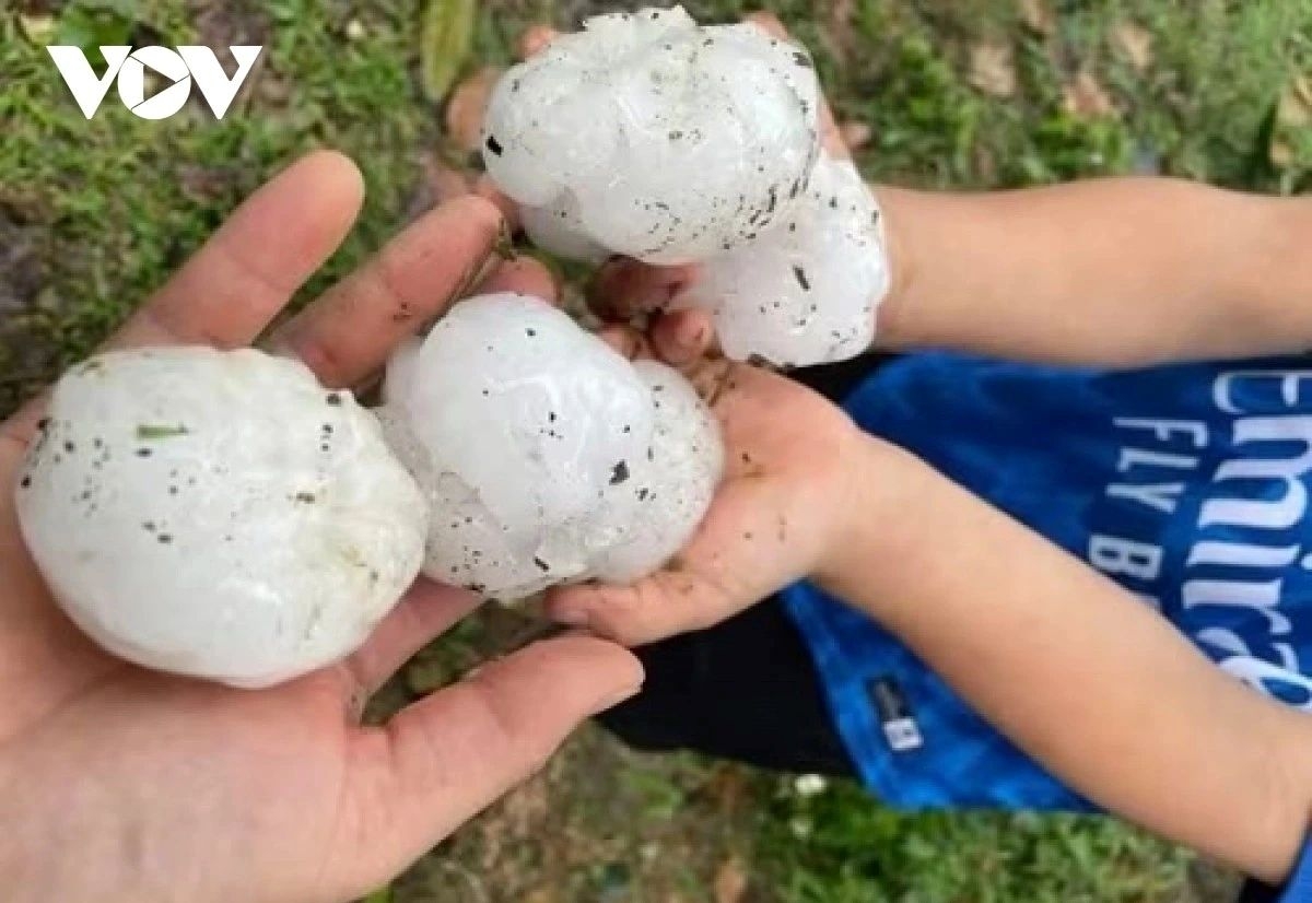 late-season cold spell hits northern vietnam with heavy rain, damage picture 1