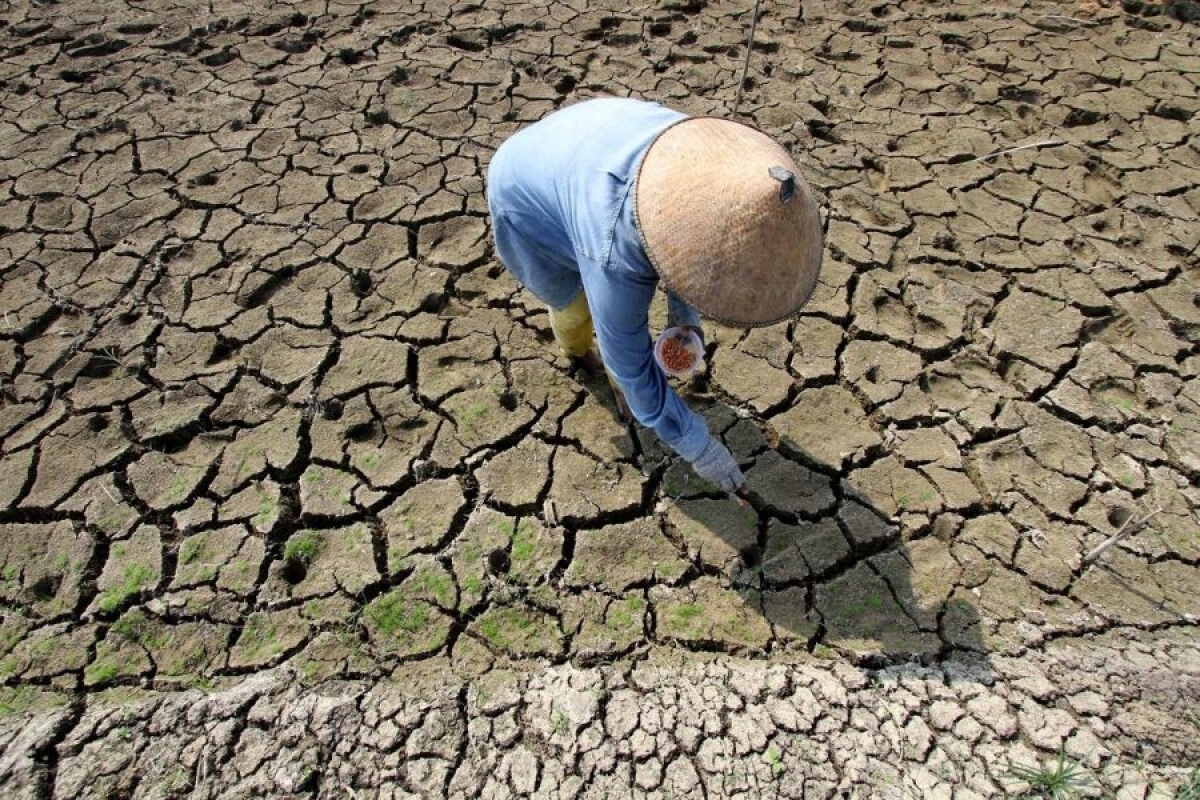 El Nino có thể quay trở lại từ giữa 2026, chủ động ứng phó hạn hán, xâm nhập mặn