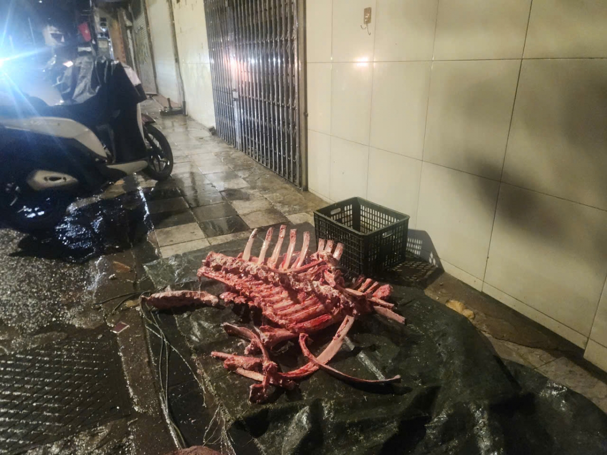 kiem tra dot xuat khu ban buon thit bo lon o ha noi luc rang sang hinh anh 5