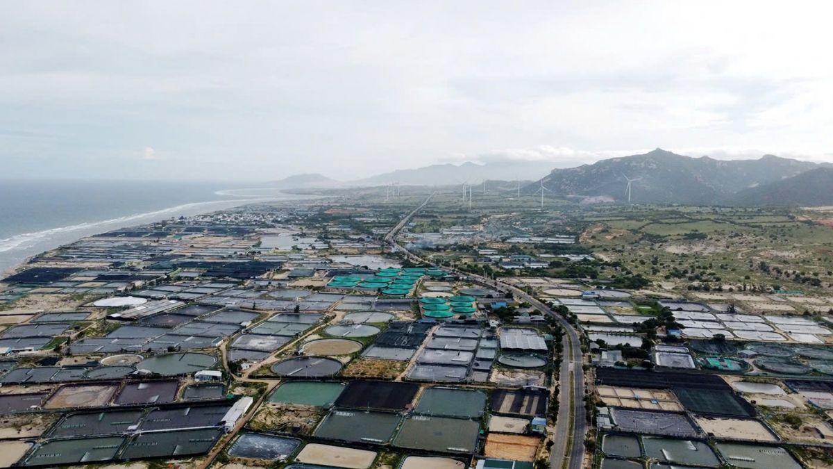 khanh hoa dua can bo xuong xa de tang toc giai phong mat bang du an dien hat nhan hinh anh 2