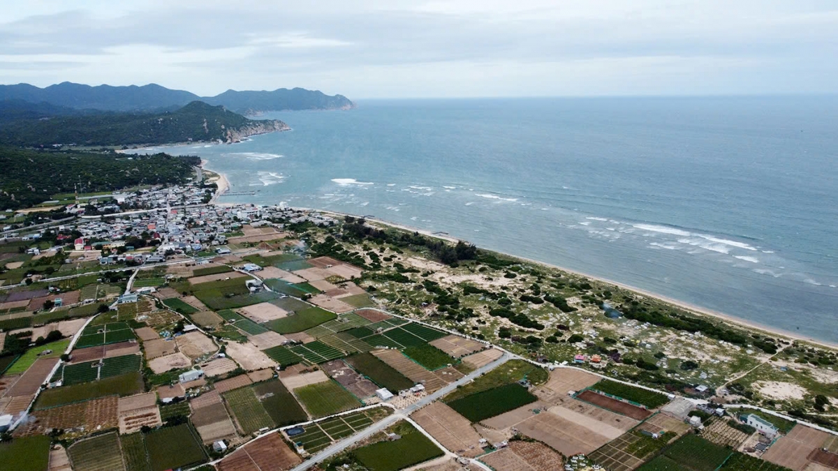 khanh hoa dua can bo xuong xa de tang toc giai phong mat bang du an dien hat nhan hinh anh 3