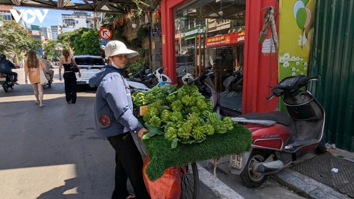 outdoor workers struggle to make a living in hanoi under scorching heat picture 12