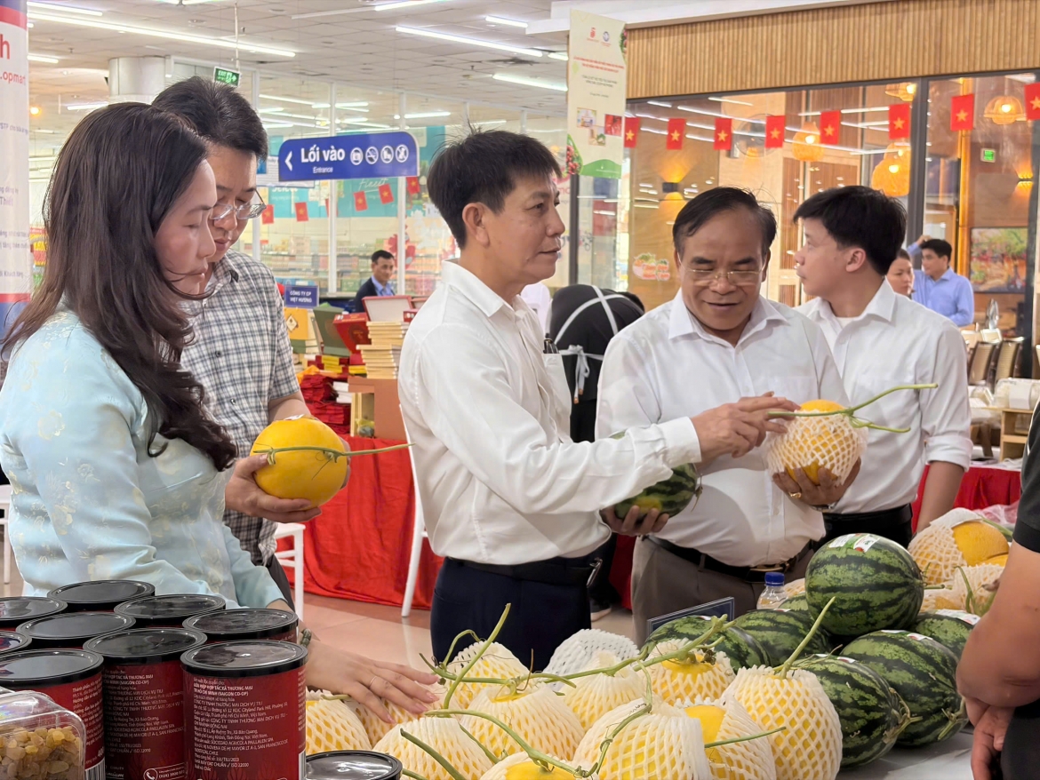 to chuc tuan le ket noi tieu thu nong san va ocop hai phong hinh anh 4