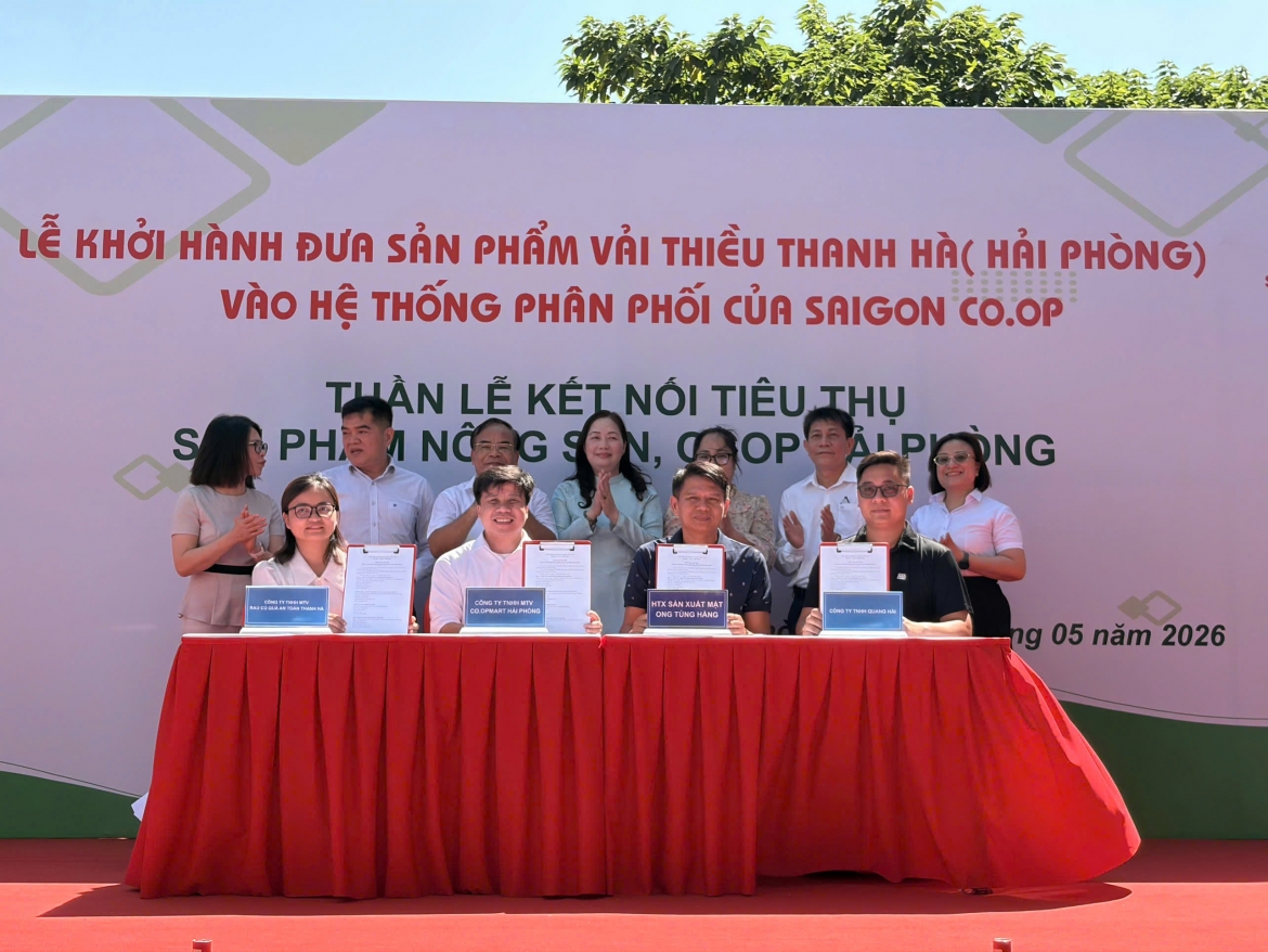 to chuc tuan le ket noi tieu thu nong san va ocop hai phong hinh anh 3