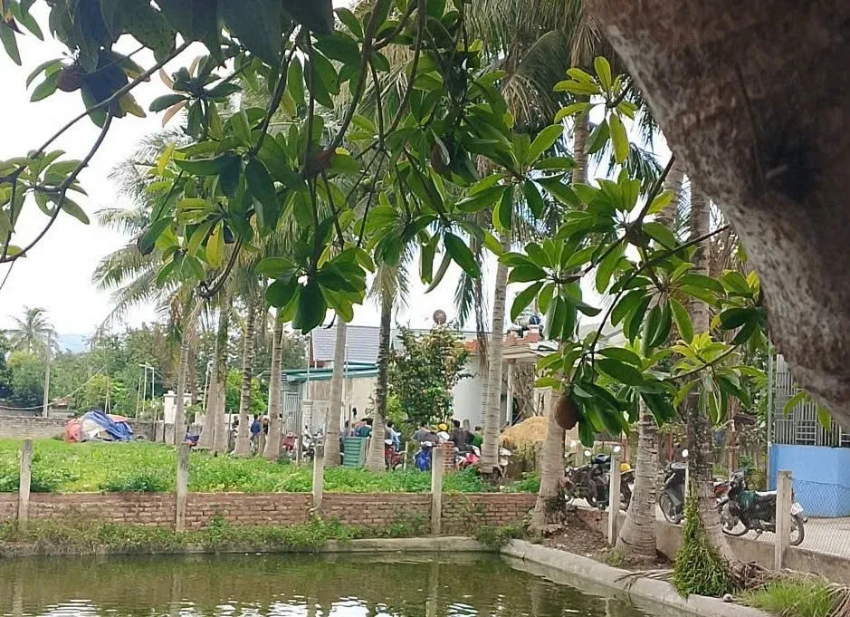 bo de dung dao lam con trai tu vong sau mau thuan gia dinh o Dien bien hinh anh 1