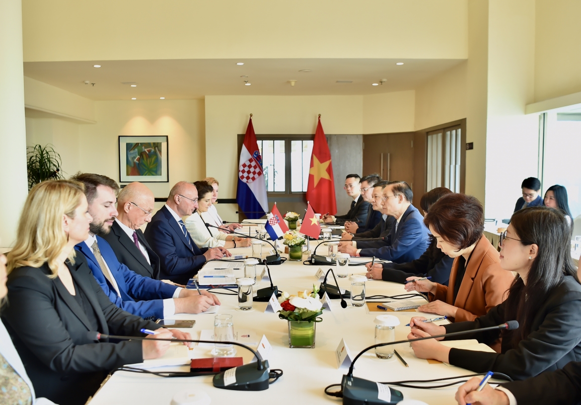croatia coi viet nam la doi tac quan trong hang dau tai Dong nam A hinh anh 1
