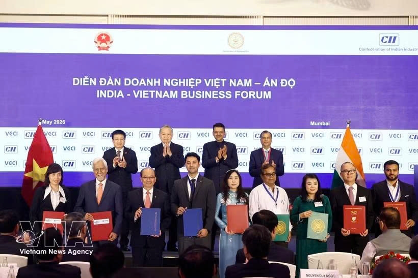 vietnam increasingly proactive in advancing ties with asian partners picture 1