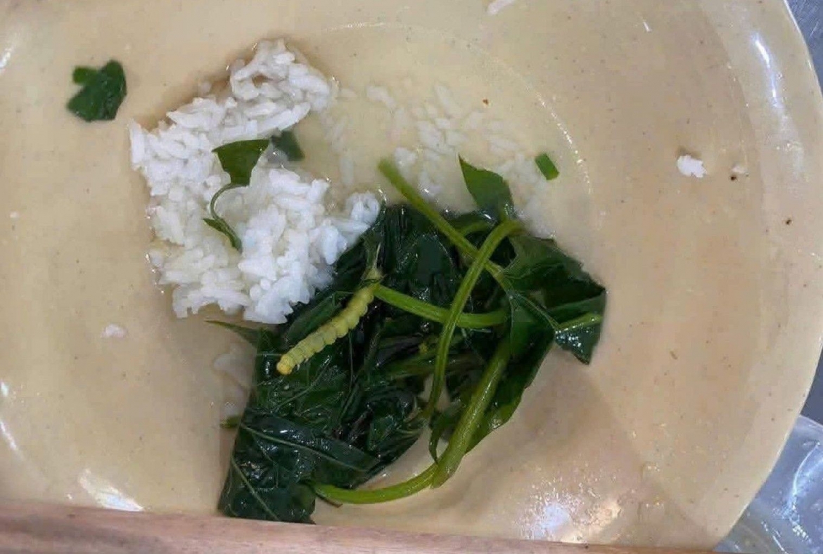 bua an sinh vien Dai hoc hue canh rau co sau, don vi nau an xin loi hinh anh 1