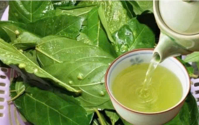 An la sung co tot khong 5 cong dung bat ngo nhieu nguoi chua biet hinh anh 1