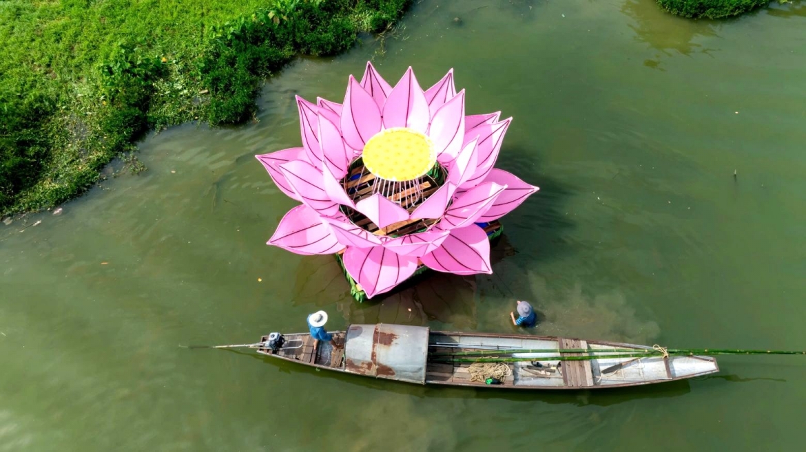 hue thap sang 7 doa sen khong lo giua song huong mua phat dan hinh anh 1