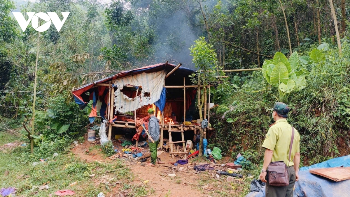 nhuc nhoi khai thac vang trai phep o a luoi, tp hue hinh anh 2