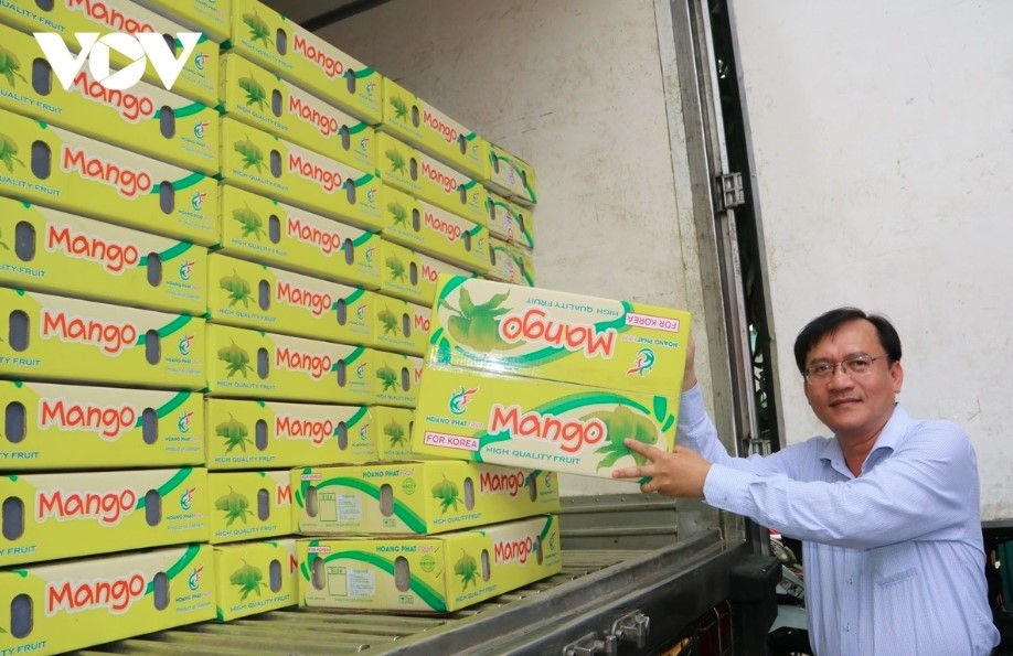 fruit prices plunge despite strong export growth picture 1