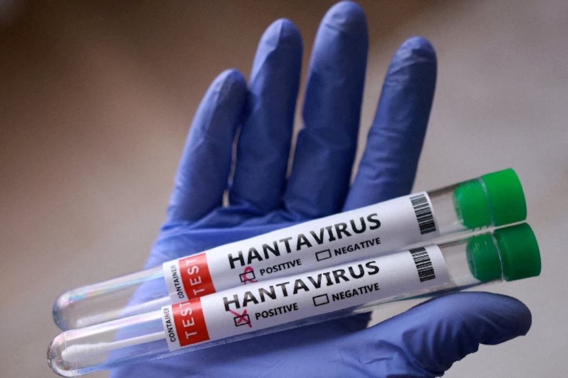 truy vet hantavirus cac nha khoa hoc bat 70 con chuot o noi tan cung the gioi hinh anh 1