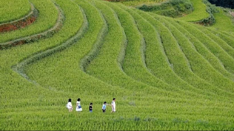 regional connectivity creates fresh momentum for vietnam s tourism growth picture 1
