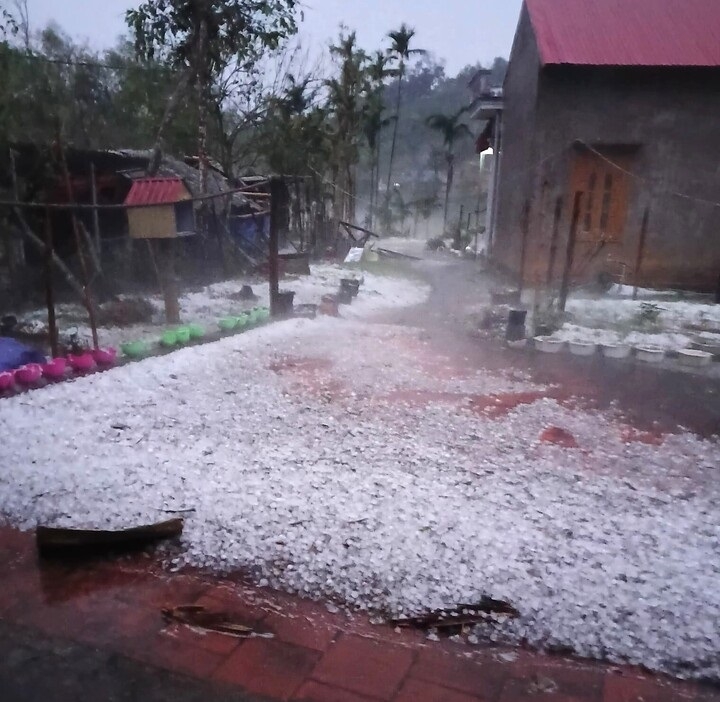 mua da trang xoa, dong loc xe toac nha xuong o thai nguyen hinh anh 1
