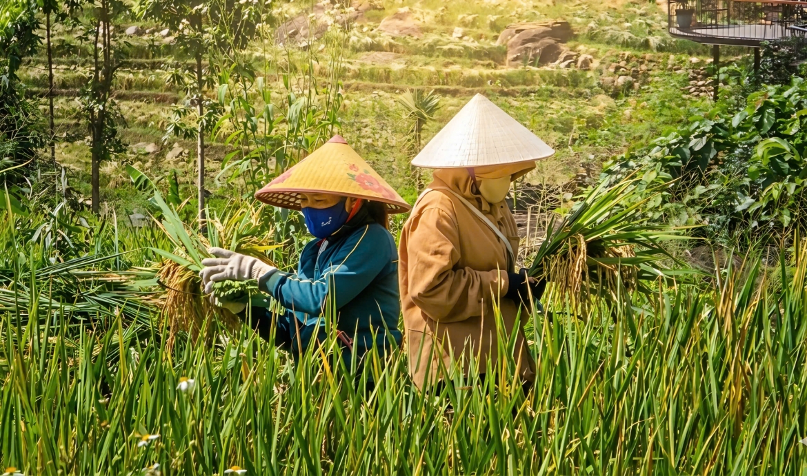 du khach dam minh giua ban lang pu luong binh yen mua lua chin hinh anh 6