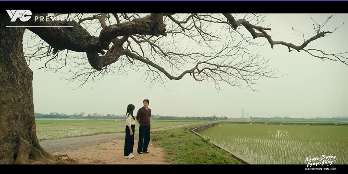 “Ngược đường ngược nắng” tập 26: Trung muốn Mai "trả nợ" đầy ẩn ý