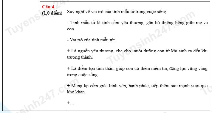 goi y dap an de thi ngu van vao lop 10 thpt cong lap tai ninh binh nam 2026 hinh anh 2