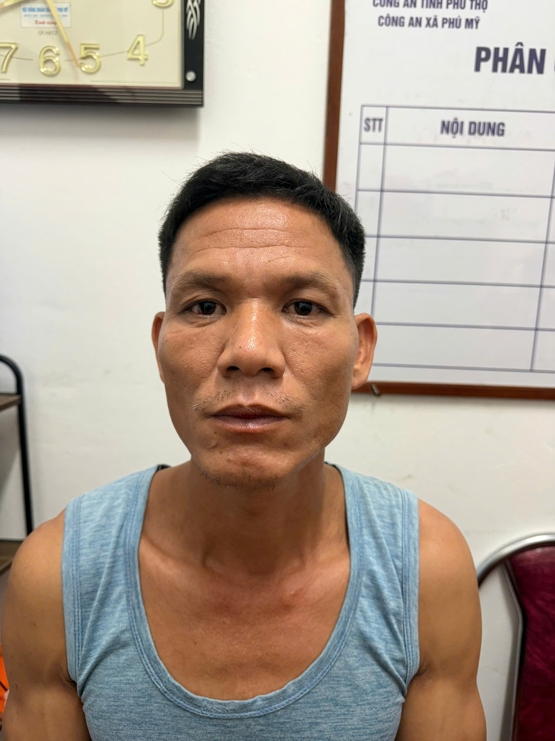 Doi tuong hiep dam co gai o phu tho bi bat sau vai gio gay an hinh anh 1