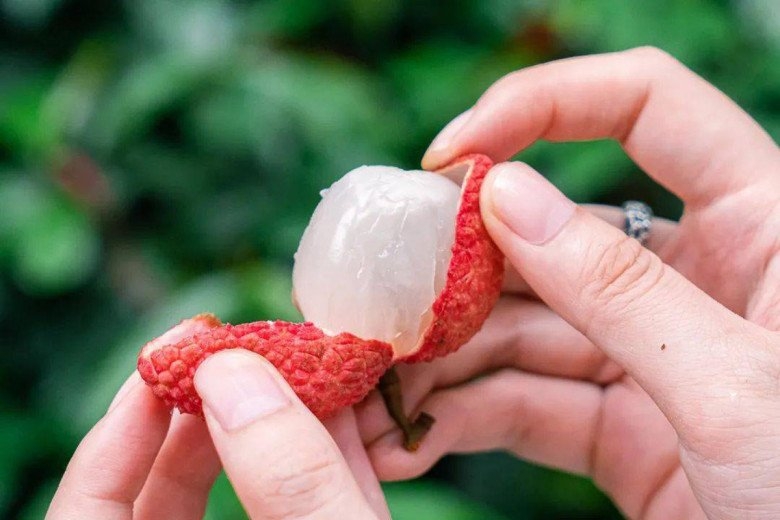 5 không khi ăn vải vào mùa hè ai cũng phải biết để tránh “mang họa vào thân”