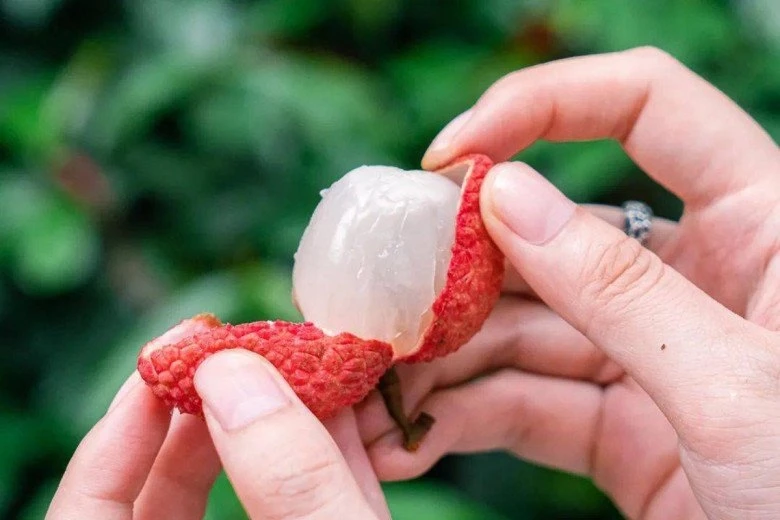 5 khong khi an vai vao mua he ai cung phai biet de tranh mang hoa vao than hinh anh 1