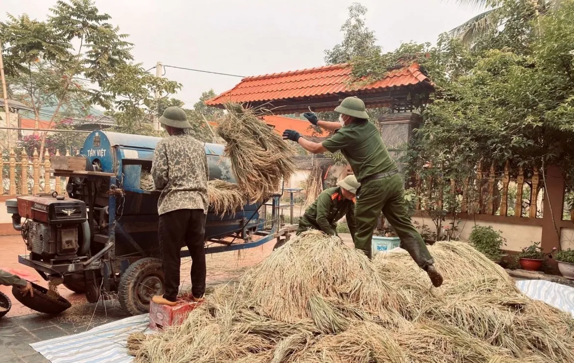 cong an xa xuong dong giup dan thu hoach lua tai thanh hoa hinh anh 8