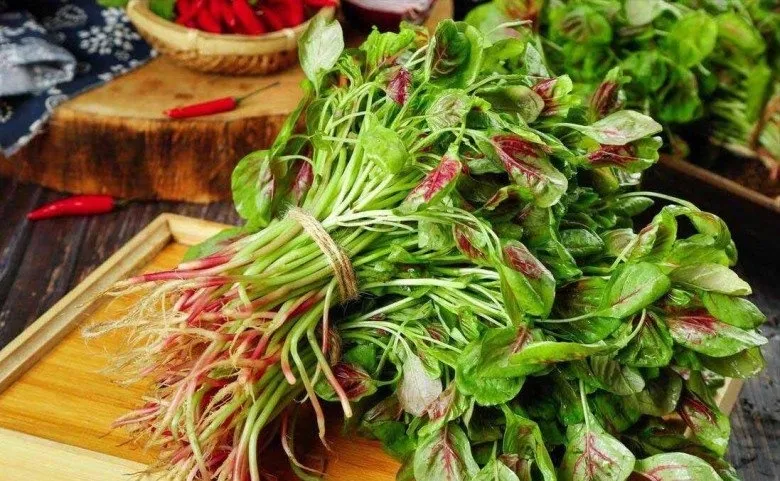 loai rau binh dan duoc vi nhu thuoc bo tu nhien , an vao ngay cang tre khoe hinh anh 1