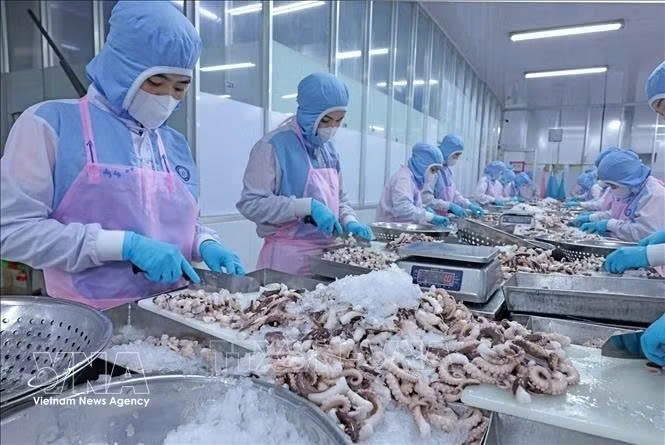 vietnam s aquatic product exports aim for us 12 billion target picture 1
