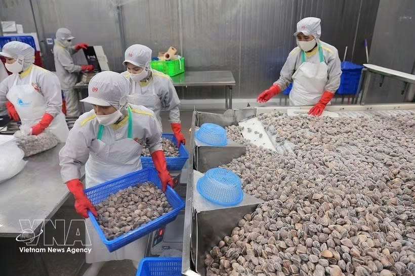 vietnam notifies wto committee of goods origin management reforms picture 1
