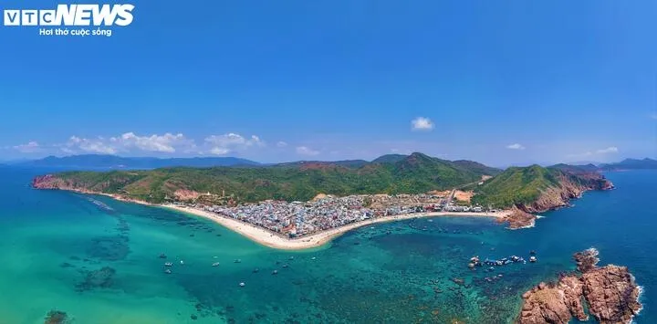 golden seaweed season at hon kho a magical beauty beneath blue sea picture 11