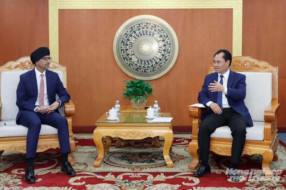 singapore seeks to increase rice, agricultural imports from vietnam picture 1