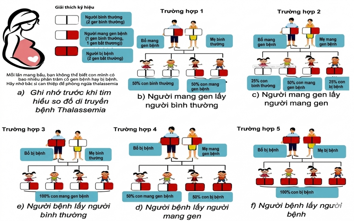 chu dong tam soat thalassemia truoc ket hon va sinh con, bao ve the he tuong lai hinh anh 1