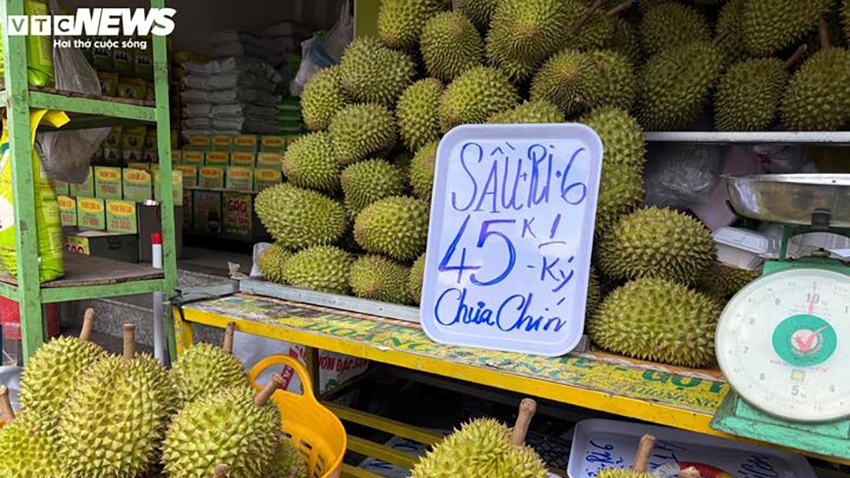 sau rieng gia re do bo tp.hcm chat luong ra sao hinh anh 4
