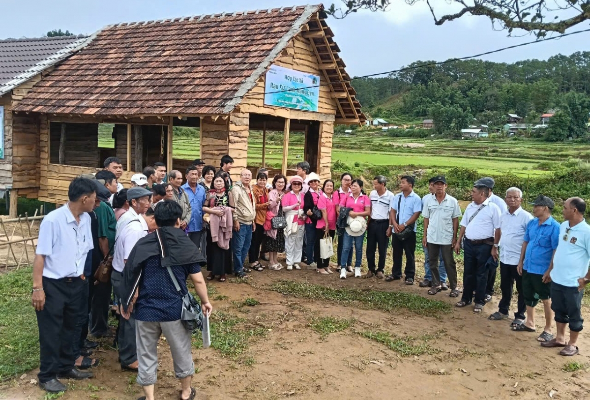 Dang vien noi la lam, tao chuyen bien o mang Den hinh anh 3